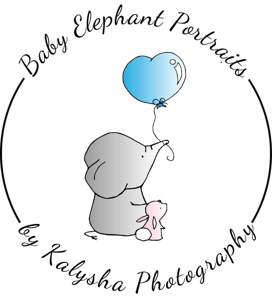 Baby Elephant Portraits