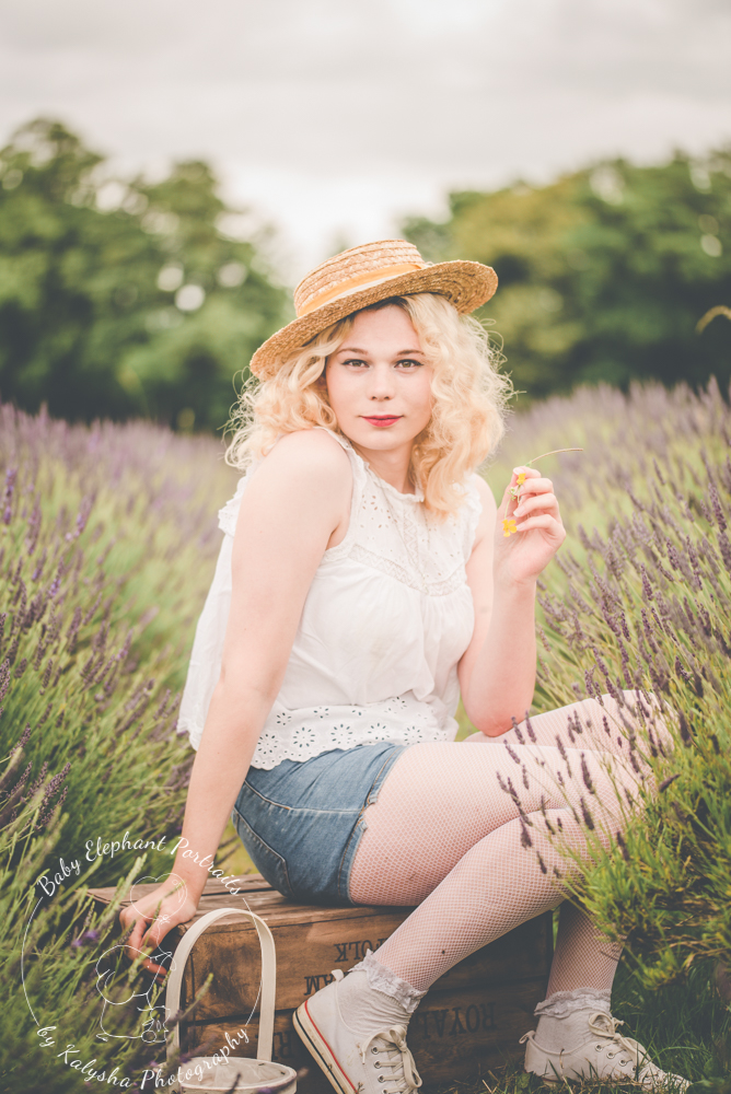 lavender field photography